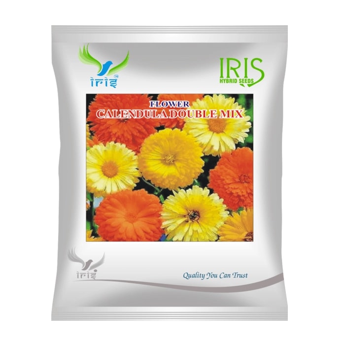 Iris Calendula Mix Hybrid OP Flower Seeds, Imported, Tall Growing Plants, Mixed Flowers