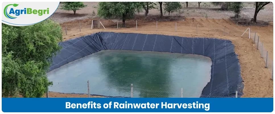 Benefits of Rainwater Harvesting in Agriculture