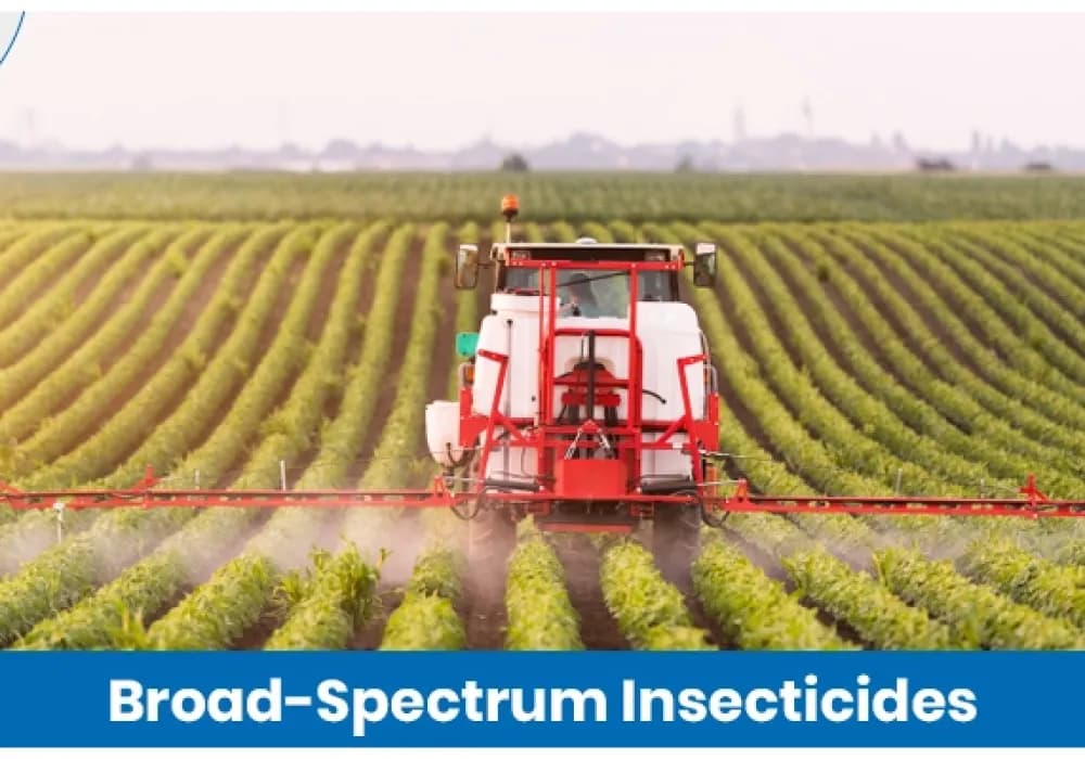 Broad-Spectrum Insecticides: What They Are and How Do They Prevent Crop Loss?