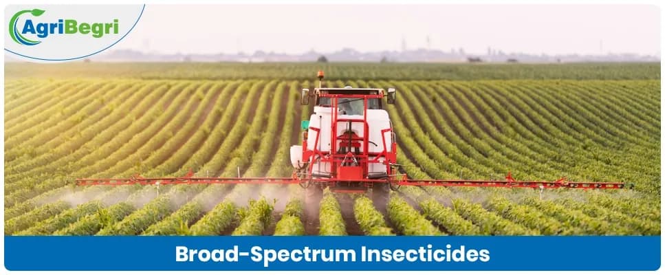 Broad-Spectrum Insecticides: What They Are and How Do They Prevent Crop Loss?