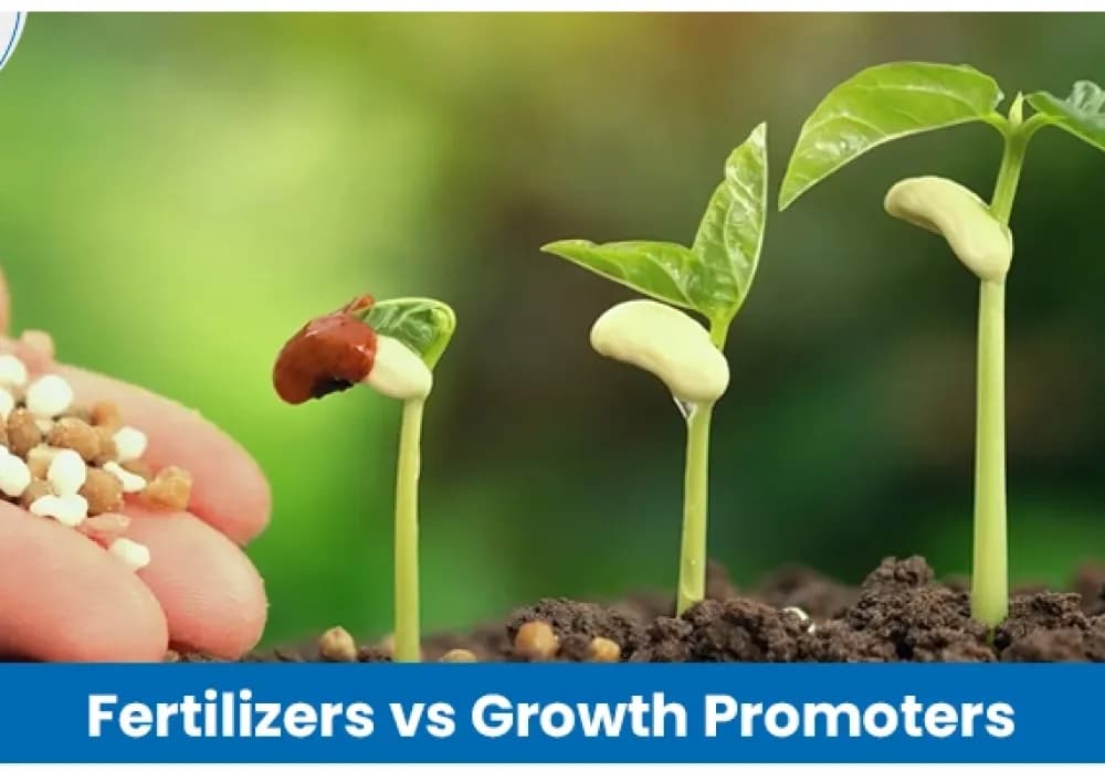 Difference Between Fertilizers and Plant Growth Promoters