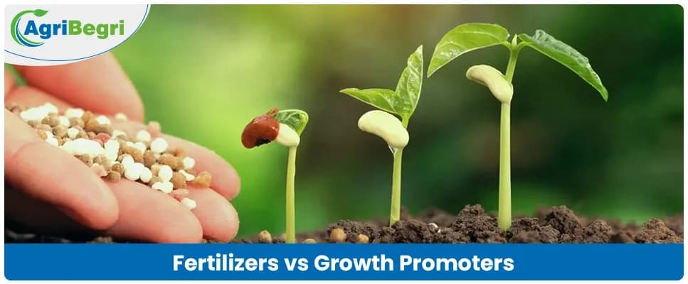 Difference Between Fertilizers and Plant Growth Promoters