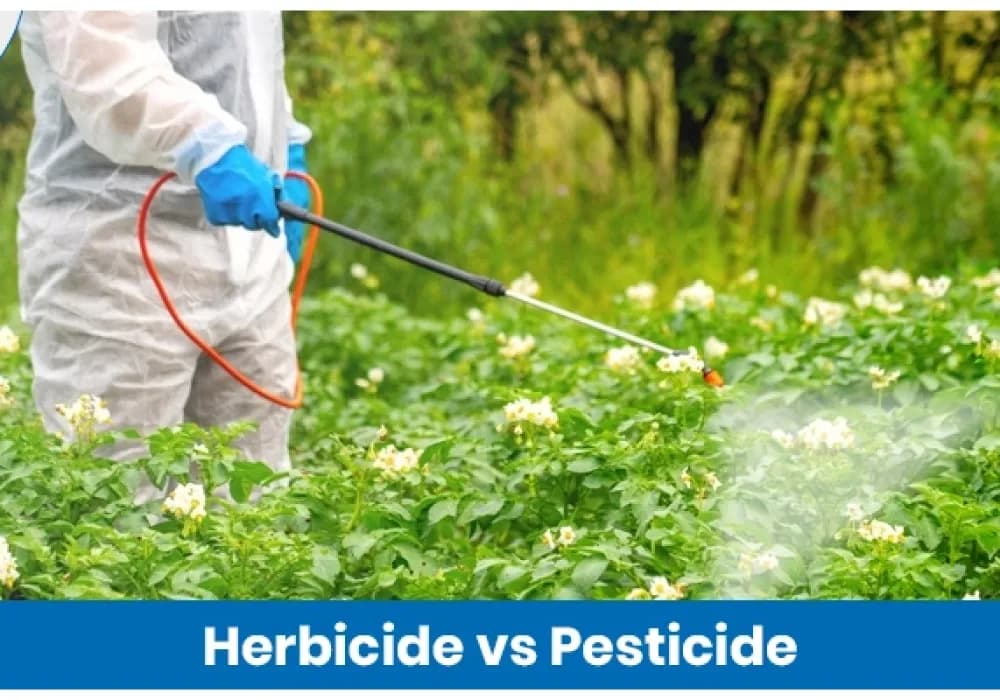 Difference Between Herbicide and Pesticide