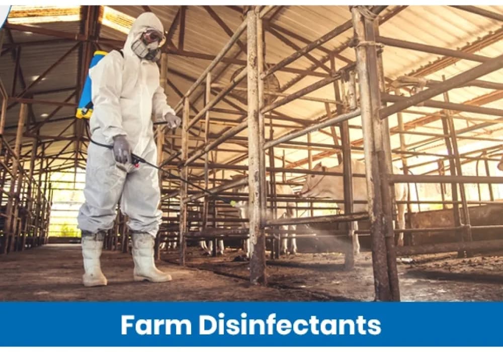 Disinfectants in Agriculture: Effective Remedies for Farm Sanitation