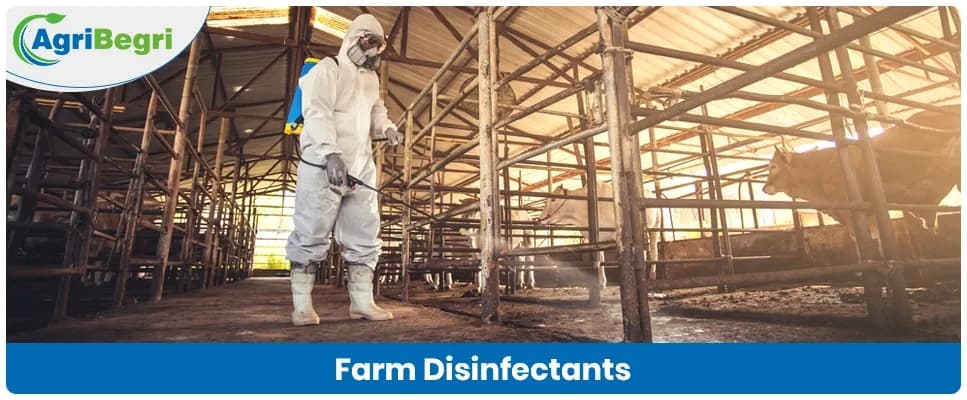Disinfectants in Agriculture: Effective Remedies for Farm Sanitation