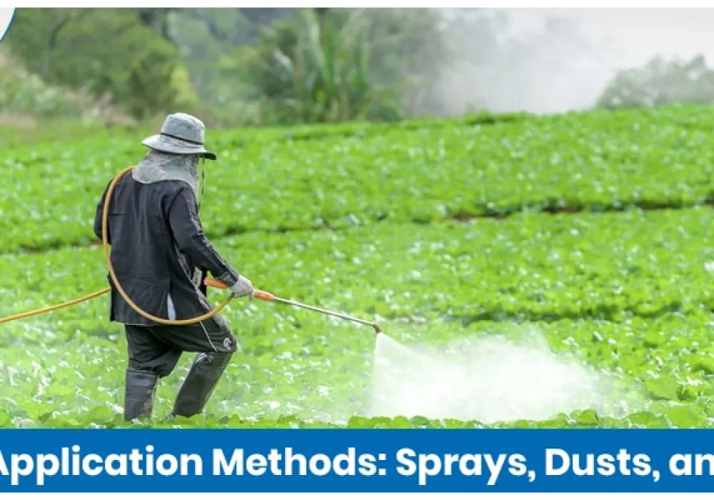 Fungicide Application Methods: Sprays, Dusts, and Granules Explained