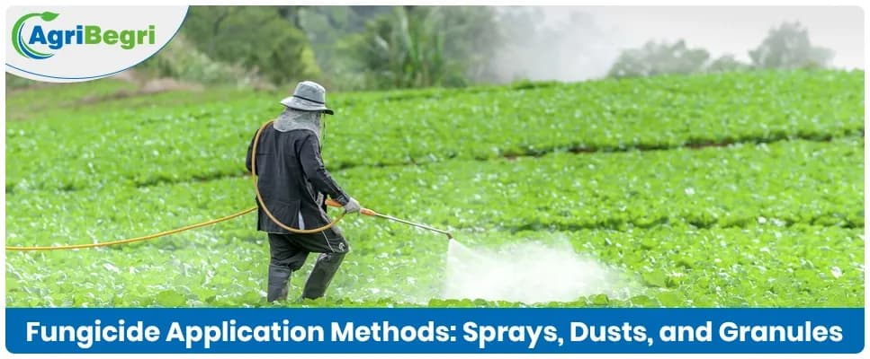 Fungicide Application Methods: Sprays, Dusts, and Granules Explained