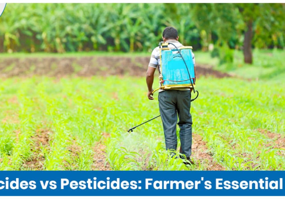 Fungicides vs. Pesticides: Understanding the Key Differences