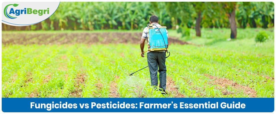 Fungicides vs. Pesticides: Understanding the Key Differences