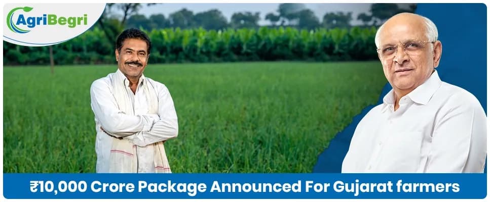 Gujarat CM Announced 10,000 Crore Relief Package For Farmers