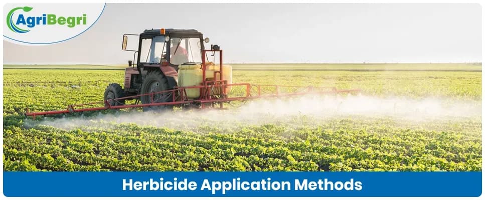 Herbicide Application Methods for Effective Weed Control