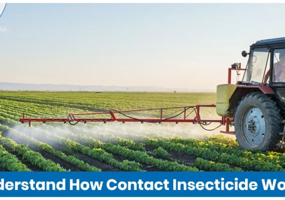 How Contact Insecticides Work For Insect Control