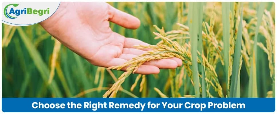 How to Choose the Right Remedy for Your Crop Problem