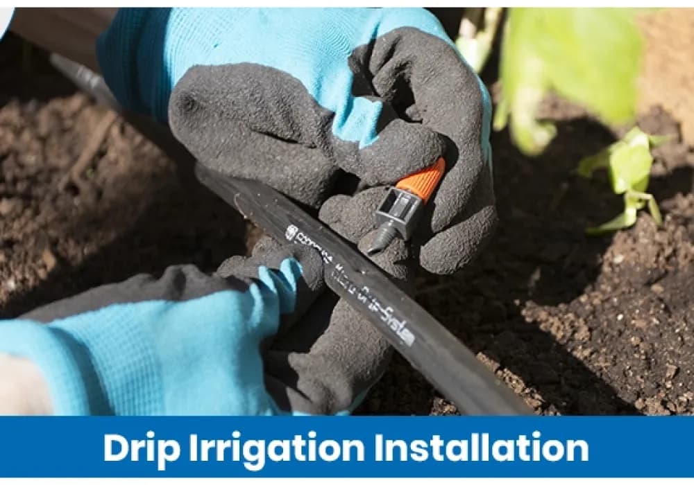 How to Install a Drip Irrigation System Step by Step Guide