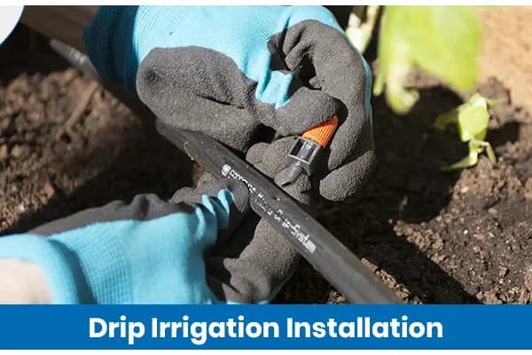How to Install a Drip Irrigation System Step by Step Guide