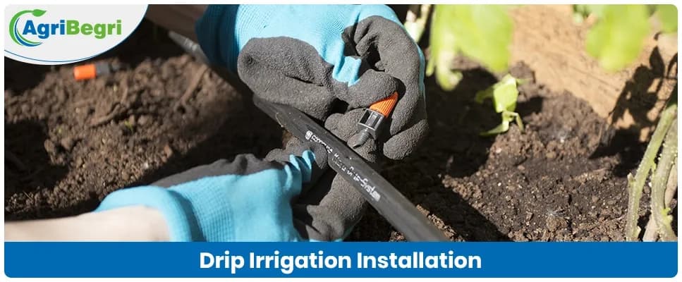 How to Install a Drip Irrigation System Step by Step Guide