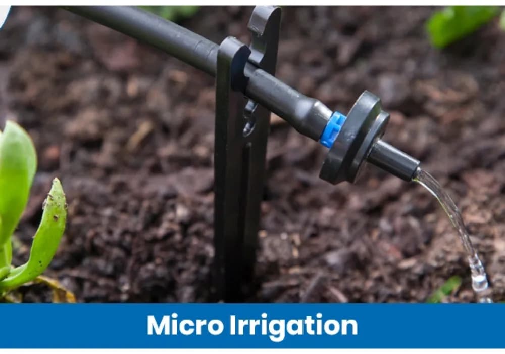 Micro Irrigation: How It Works, Benefits and Future Potential