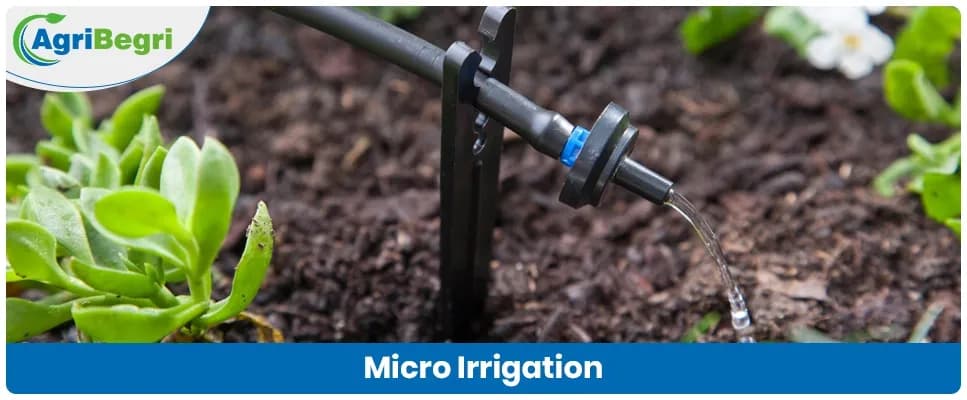 Micro Irrigation: How It Works, Benefits and Future Potential