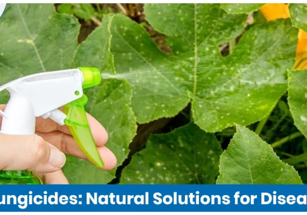 Organic Fungicides: Natural Solutions for Disease Control