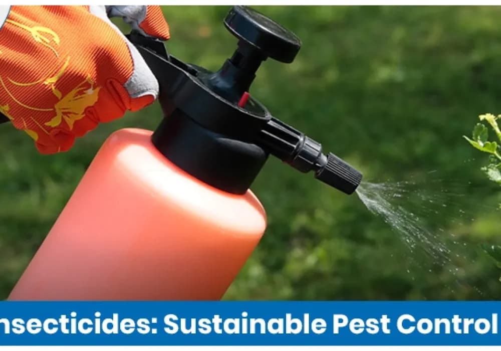 Organic Insecticides: Sustainable Pest Control Solutions