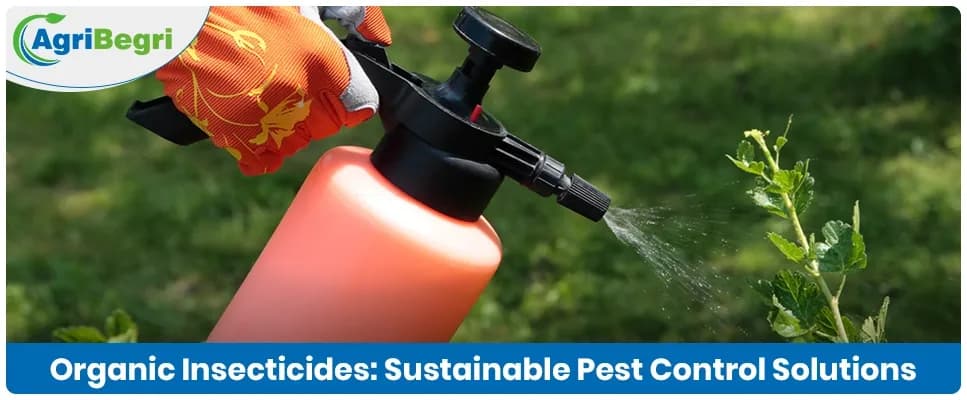Organic Insecticides: Sustainable Pest Control Solutions