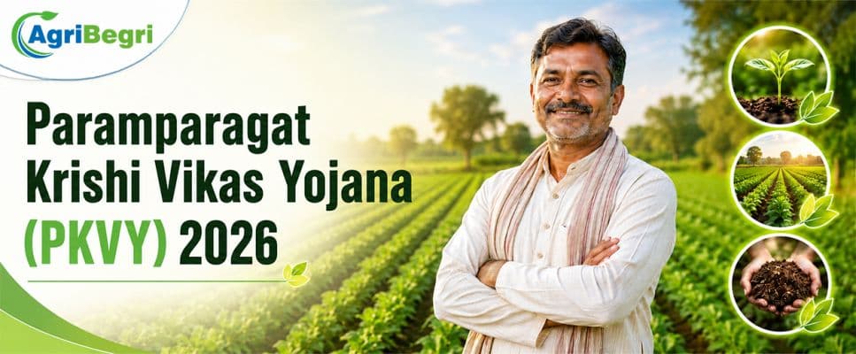 Paramparagat Krishi Vikas Yojana 2026: Benefits & Eligibility