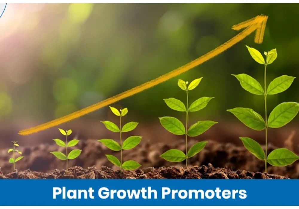 Plant Growth Promoters in Agriculture: Types, Benefits, and Uses
