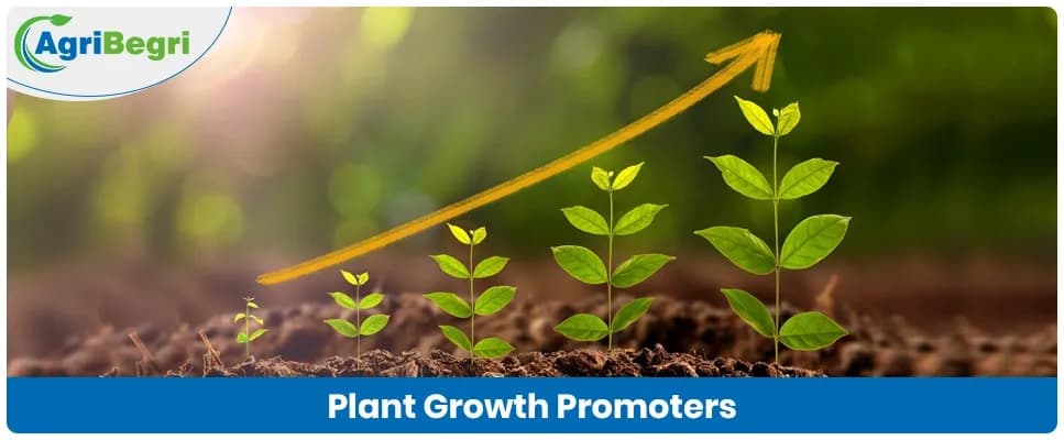 Plant Growth Promoters in Agriculture: Types, Benefits, and Uses