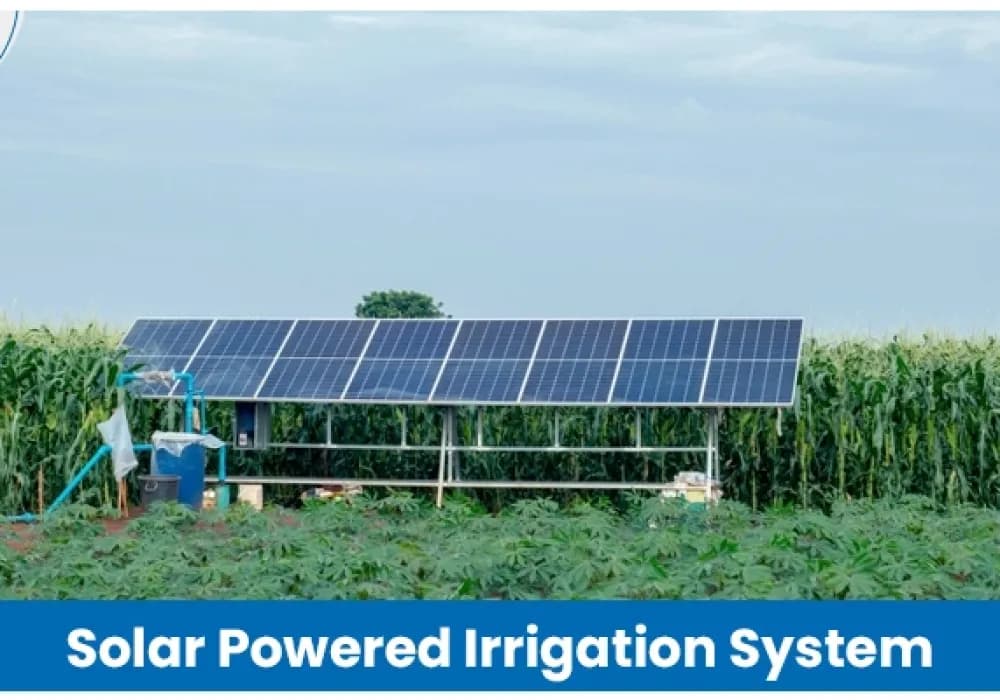 Solar Powered Irrigation System in Agriculture