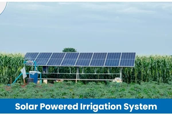 Solar Powered Irrigation System in Agriculture