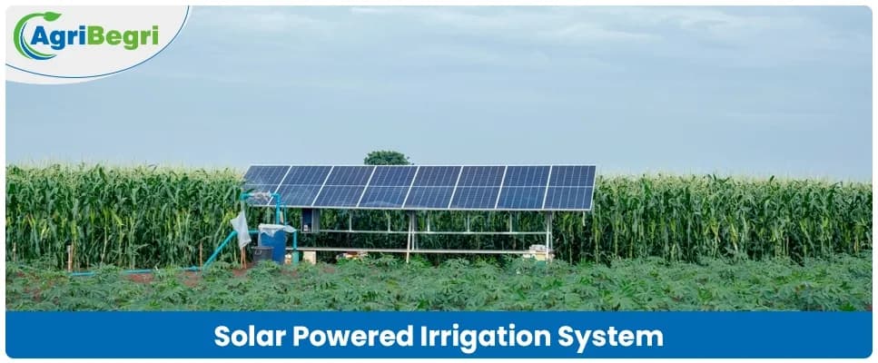 Solar Powered Irrigation System in Agriculture