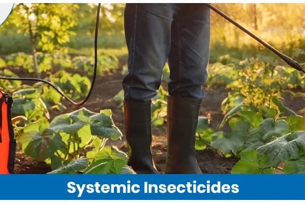 Systemic Insecticides: A Deep Dive into Plant-Absorbed Pest Control