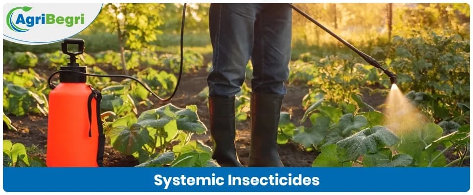 Systemic Insecticides: A Deep Dive into Plant-Absorbed Pest Control