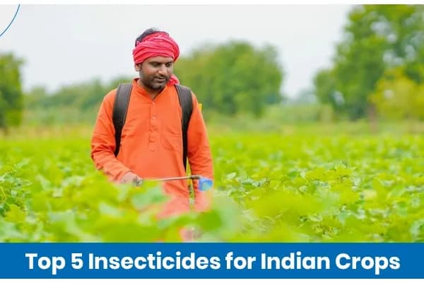 Top 5 Insecticides for Indian Crops in 2025
