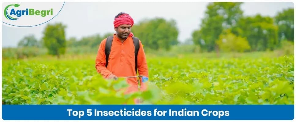 Top 5 Insecticides for Indian Crops in 2025