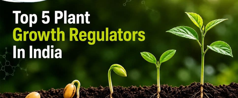 Top 5 Plant Growth Regulators (PGRs) in India