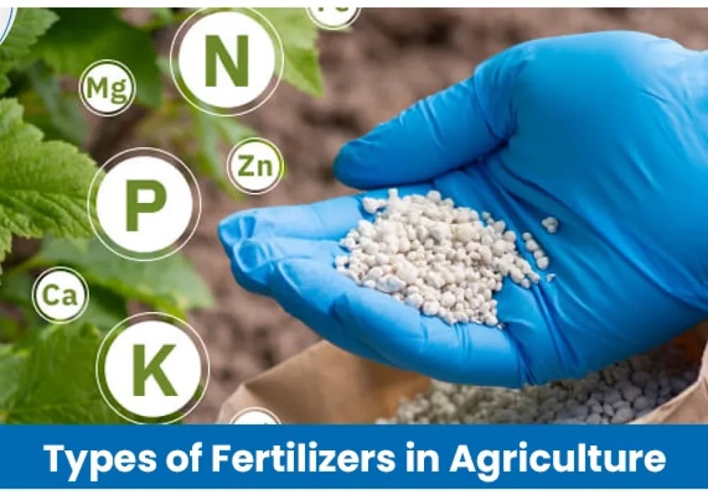 Types of Fertilizers Used in Agriculture