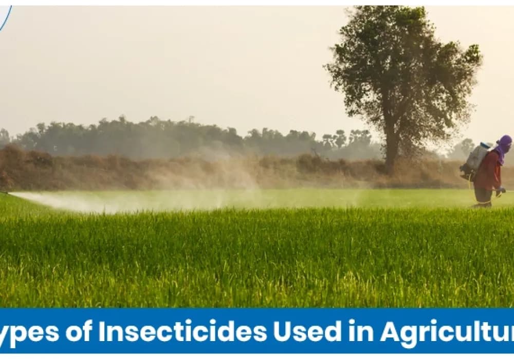 Types of Insecticides Used in Agriculture and Their Applications