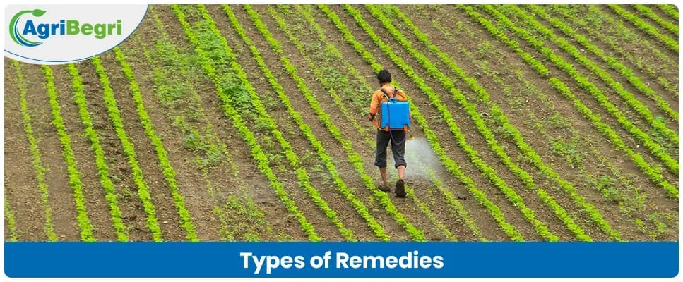 Types of Remedies Used in Modern Farming and Their Benefits
