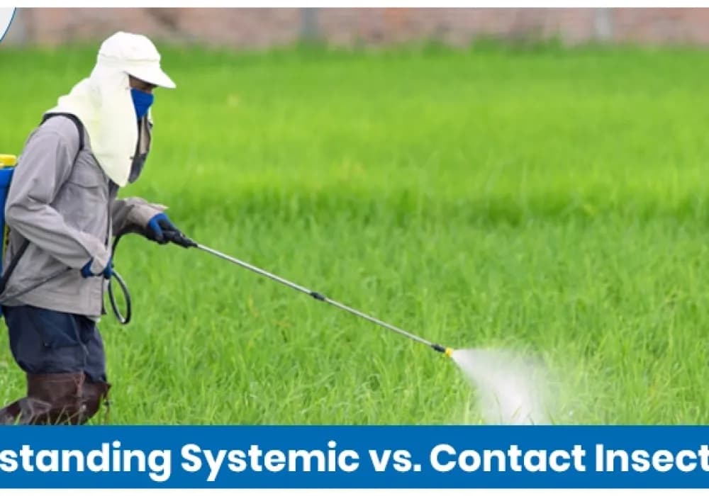 Understanding Systemic vs. Contact Insecticides In Agriculture