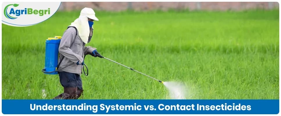 Understanding Systemic vs. Contact Insecticides In Agriculture