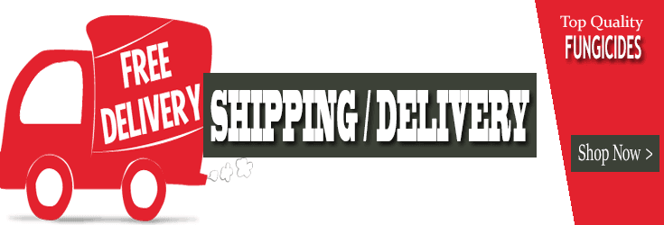 Shipping & Delivery Banner
