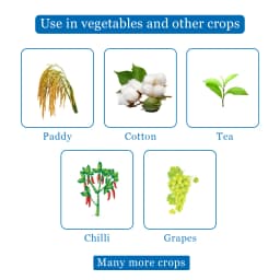 EBS Cyhalomaster Lambda Cyhalothrin 4.9% CS, Synthetic Pyrethroid Insecticide, Controls Wide Range Of Pests In Many Crops. 4