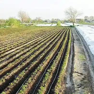 Radhe Straight Connector 16mm, Garden Drip Irrigation Accessories For 16mm Pipe - Image 4