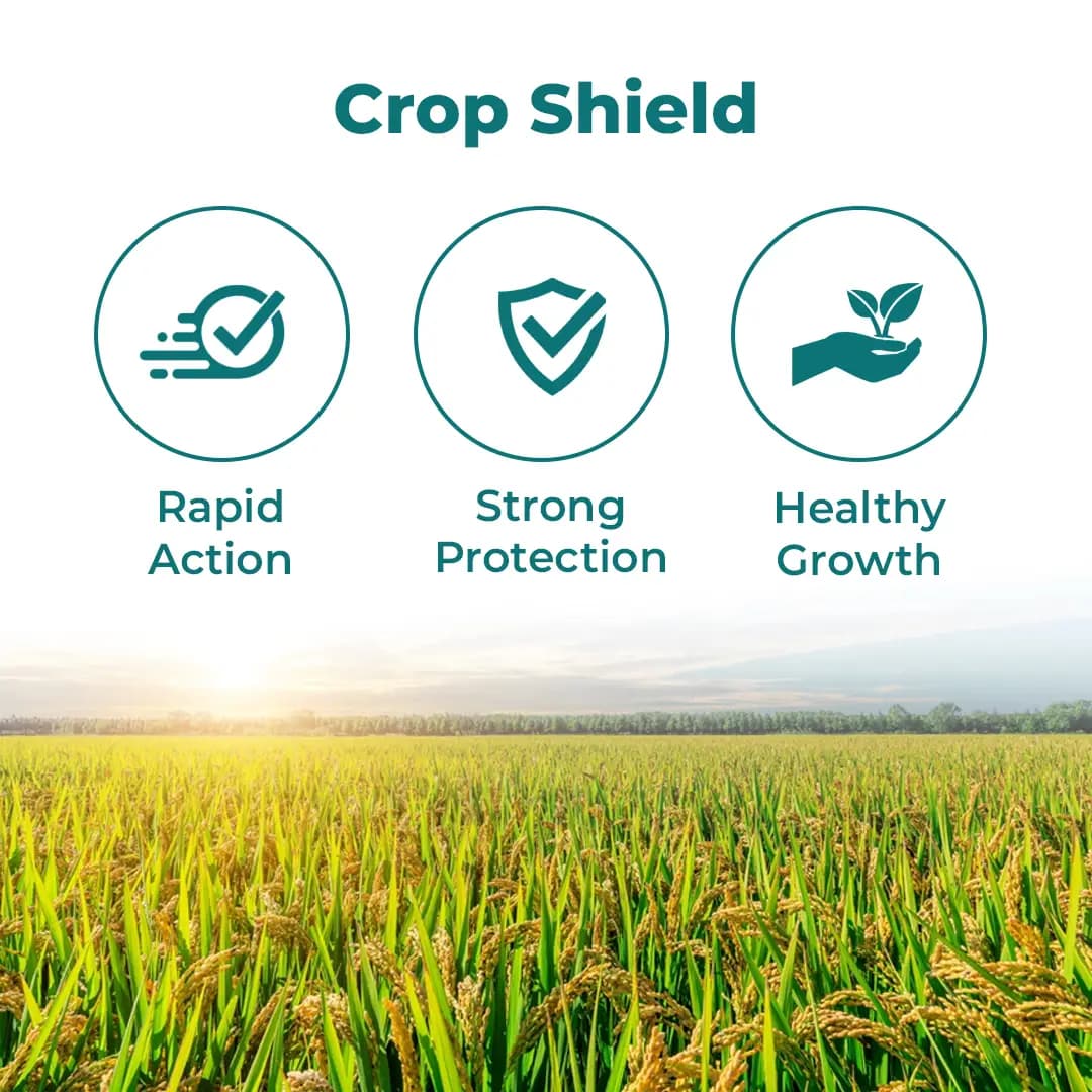 Krishigiri DINOPYM Dinotefuran 15% + Pymetrozine 45% WG Insecticide, Effective For Brown Plant Hopper And Leaf Hoppers In Rice Crop - Image 3