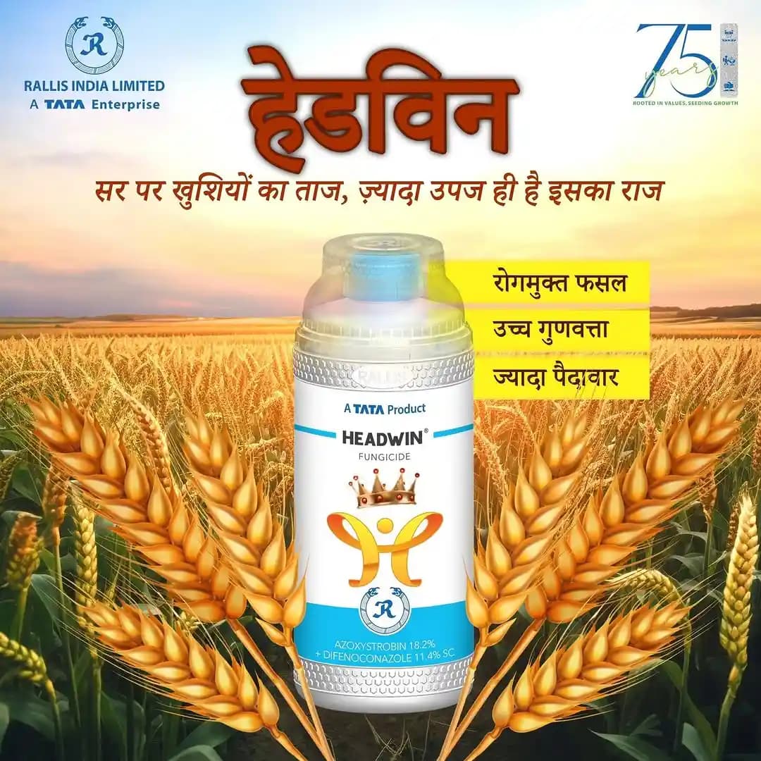 Tata Headwin Fungicide - Image 2