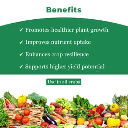 Krishi Rasayan Paushak Gold Gibberellic Acid 0.001% Plant Growth Regulator, Enhances The Yield & Increase Seed Germination. 4