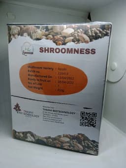 Shroomness Pink Oyster mushroom, Ready to Fruit Mushroom Block, Perfect Gift - Unique And Useful. 1