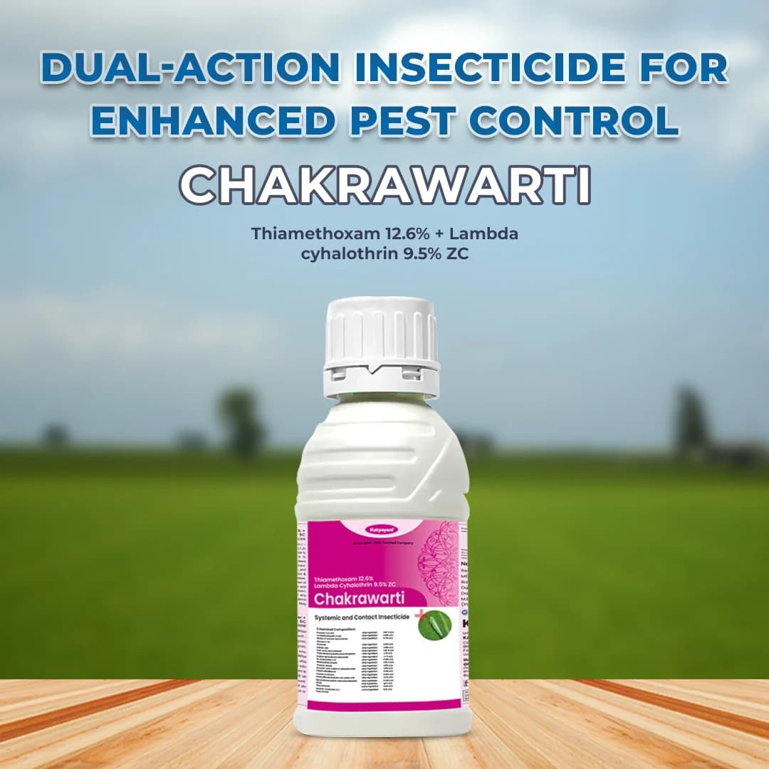 Katyayani Chakrawarti Thiamethoxam 12.6% + Lambda cyhalothrin 9.5% ZC Dual Mode Insecticide For Plants - Image 3