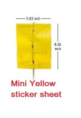 Barrix Yellow Magic Sticker Chromatic Trap - Image 2